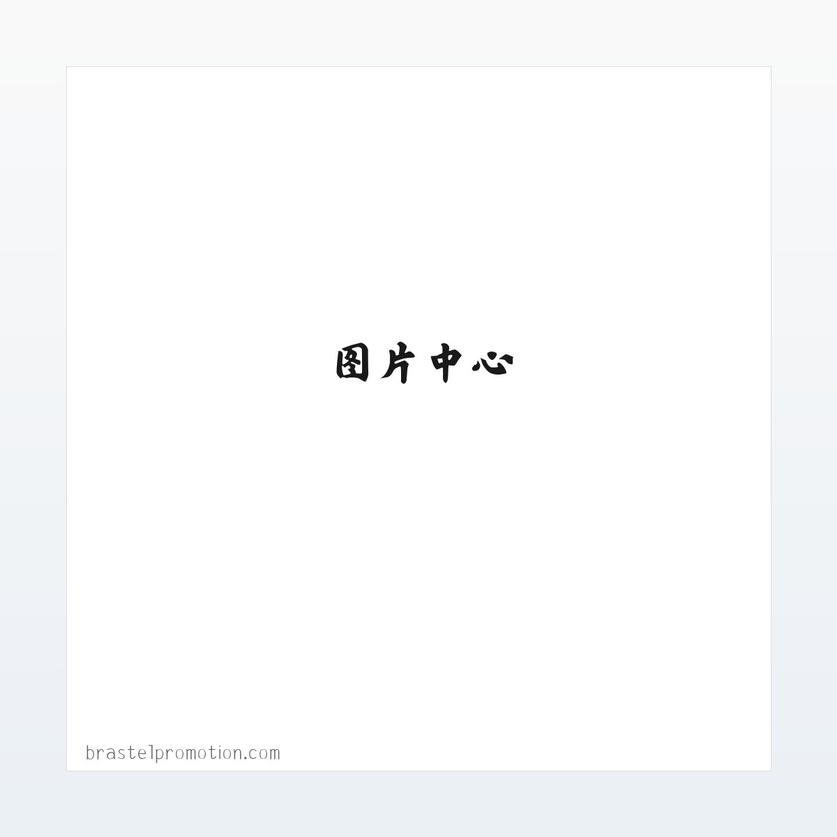 Brastel Promotion 方图